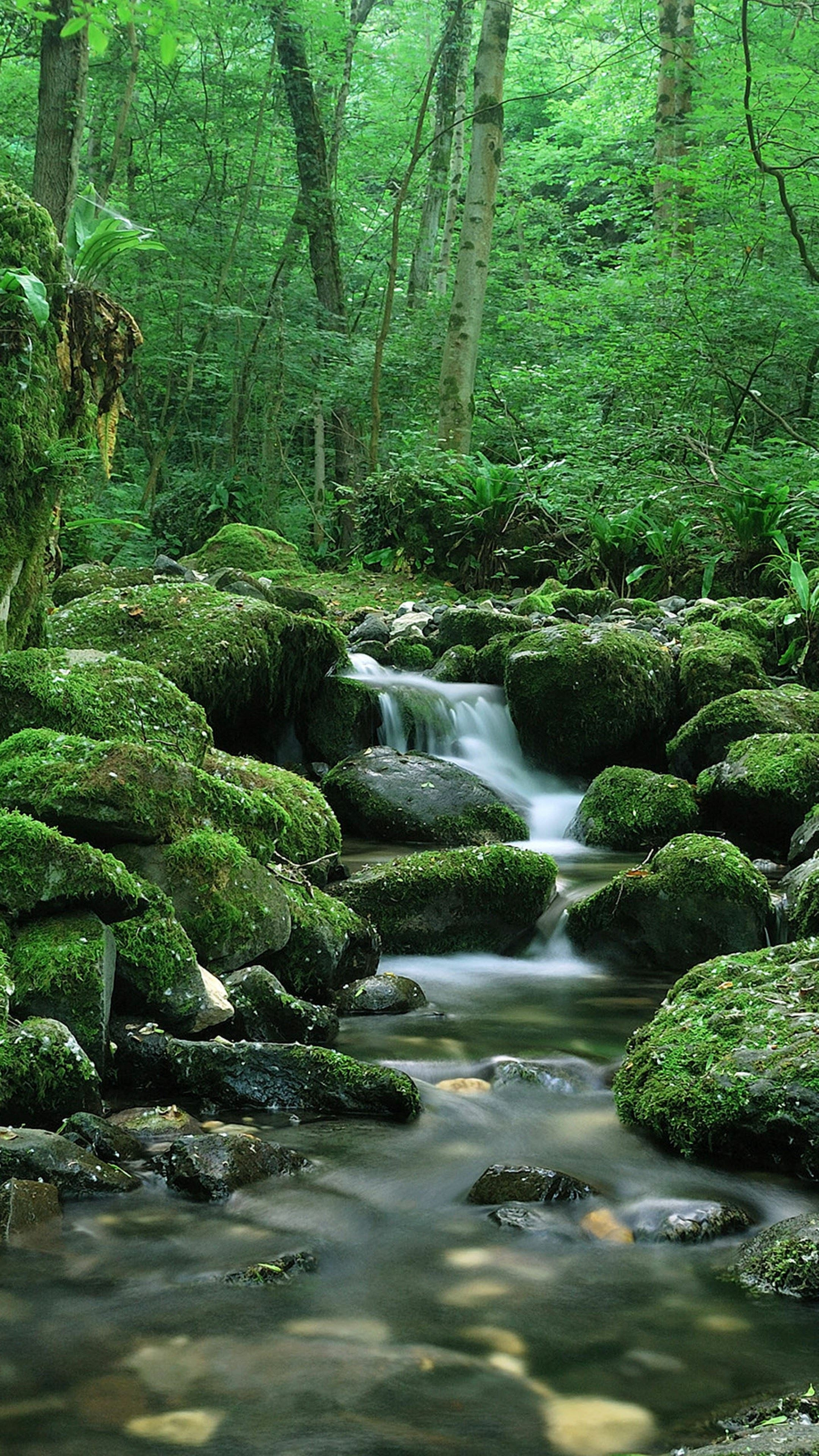 tapete 4k celular,natürliche landschaft,gewässer,strom,wasservorräte,natur