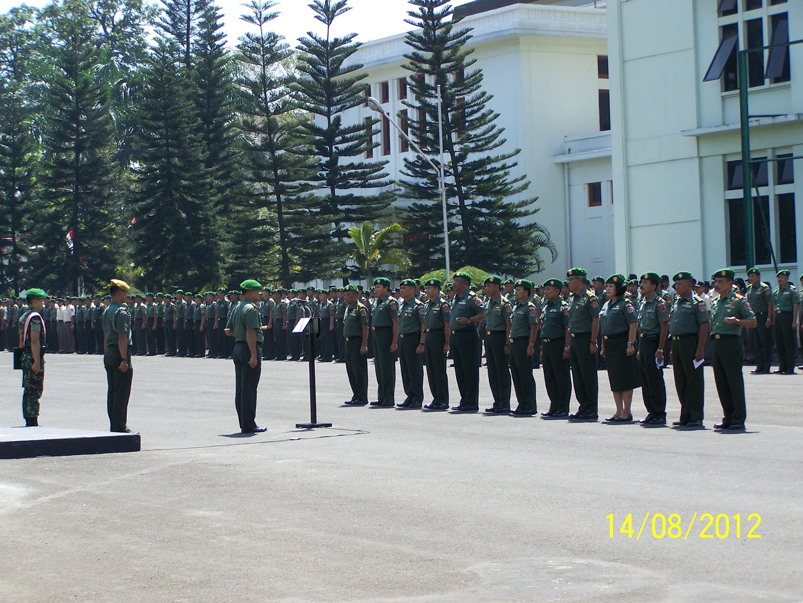 壁紙tni,行進,軍の,軍,歩兵,軍の階級