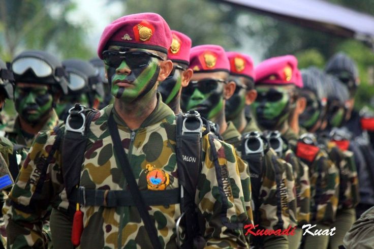 papier peint tni,armée,militaire,camouflage militaire,uniforme militaire,soldat