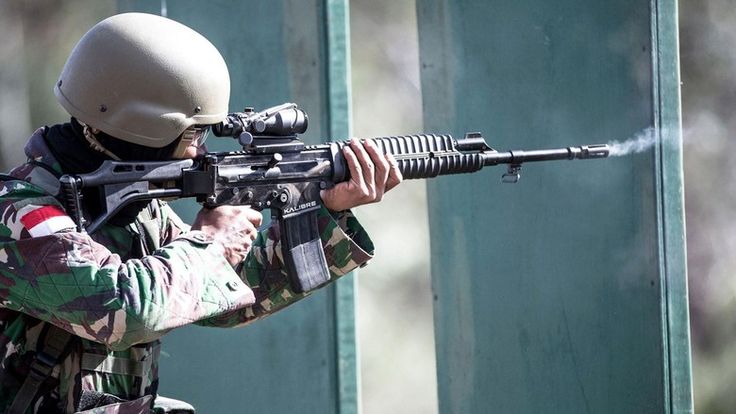 wallpaper tni,gun,firearm,trigger,shooting,machine gun