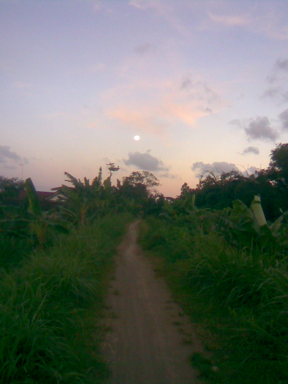 papier peint keren untuk hp,ciel,la nature,paysage naturel,matin,herbe