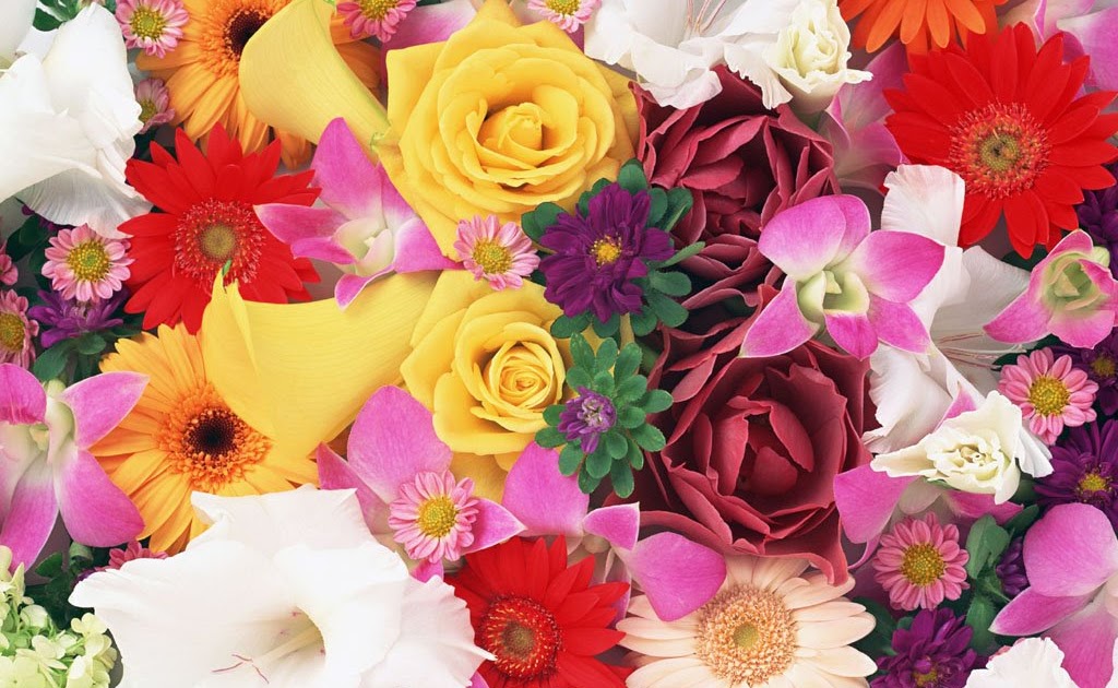 gambar untuk wallpaper,flower,bouquet,cut flowers,flower arranging,floristry