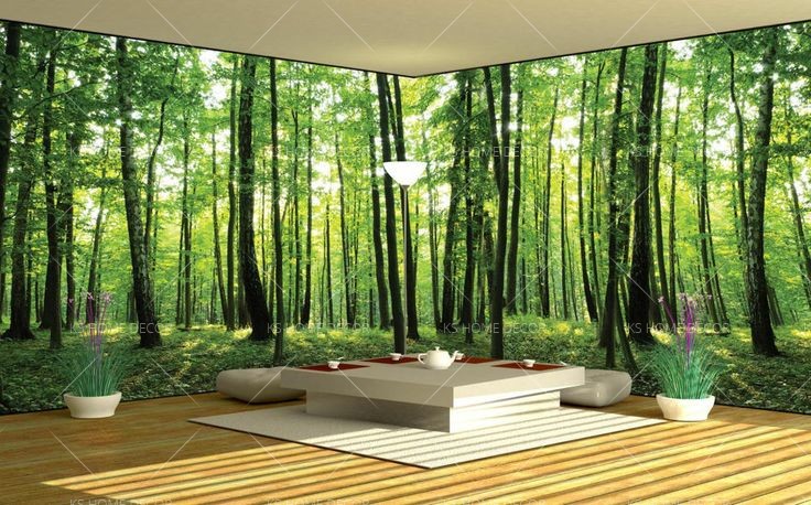 fond d'écran murah,la nature,arbre,chambre,vert,design d'intérieur