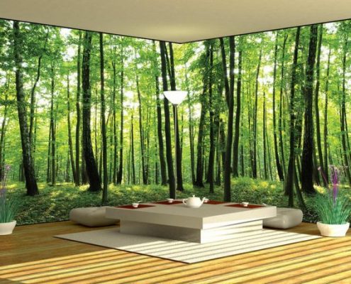 fondo de pantalla murah,naturaleza,verde,paisaje natural,árbol,fondo de pantalla