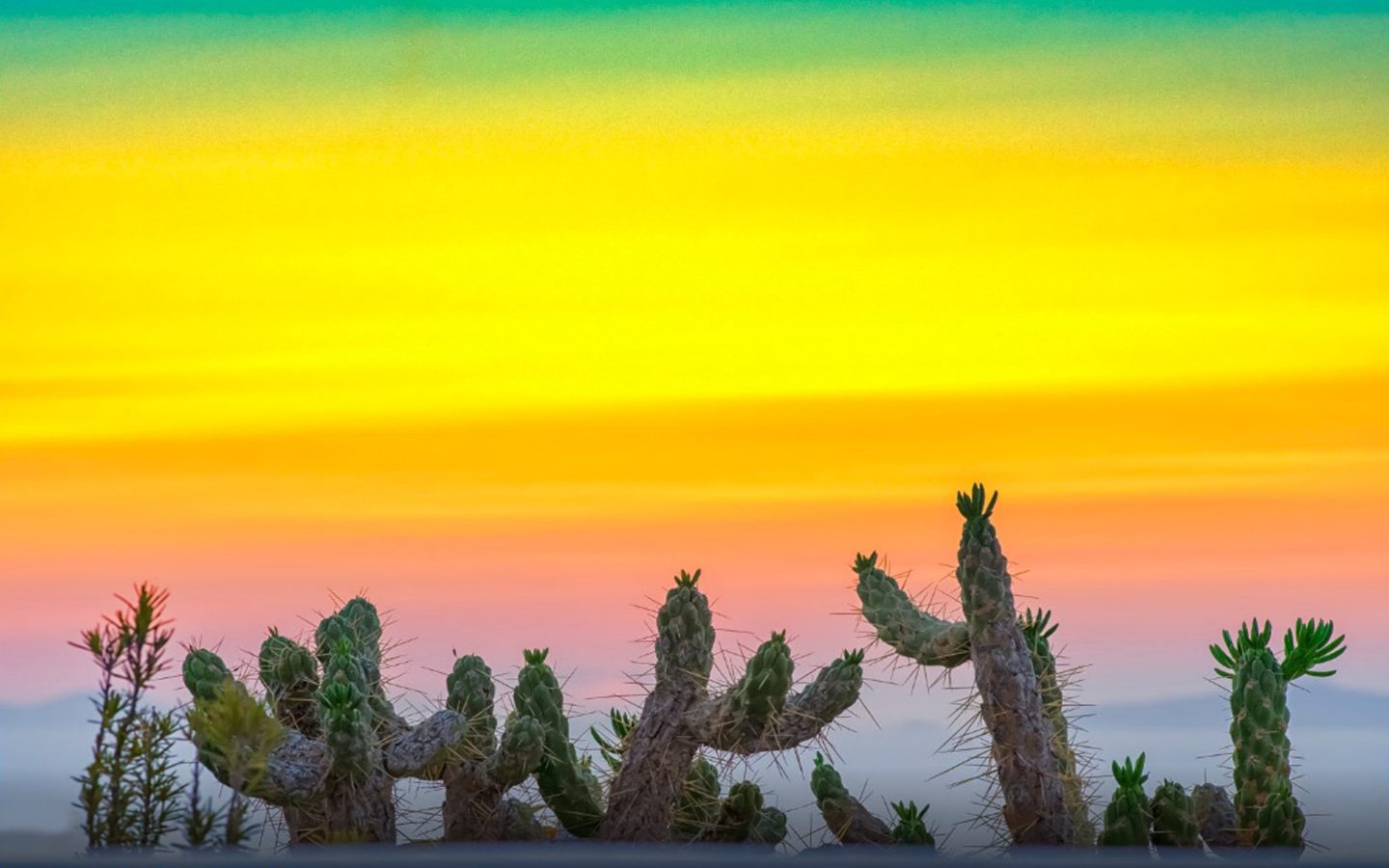 fondos de pantalla fotos hd,cielo,naturaleza,árbol,paisaje natural,puesta de sol