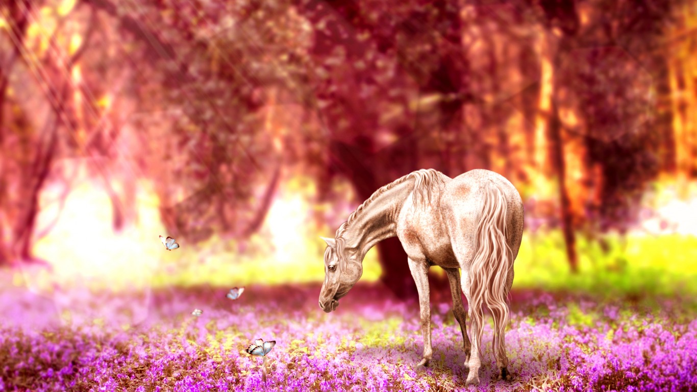 wallpaper pictures hd,nature,horse,natural landscape,wildlife,sunlight