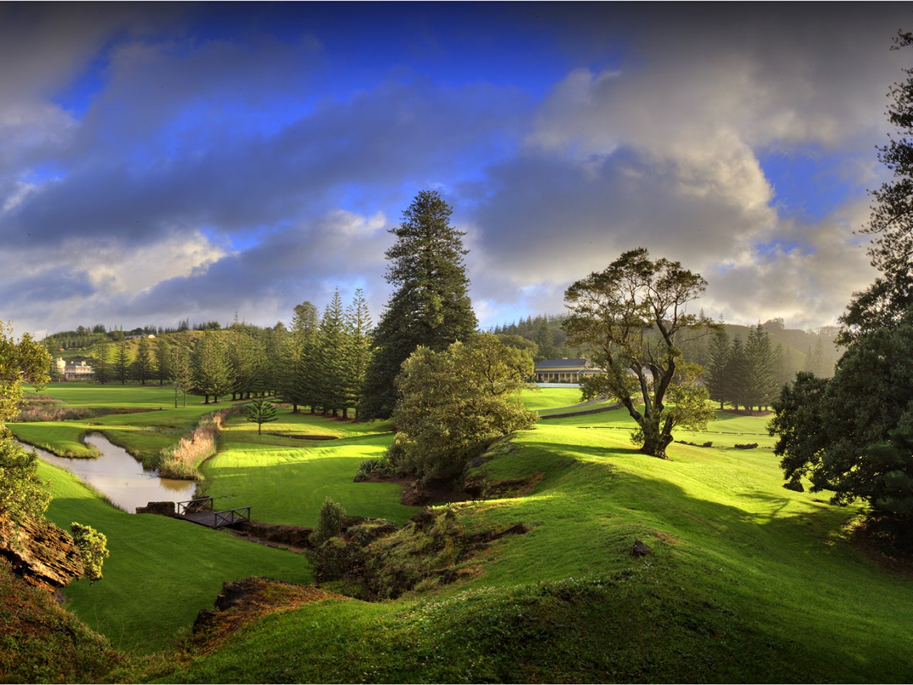 fondos de pantalla fotos hd,paisaje natural,naturaleza,cielo,verde,árbol