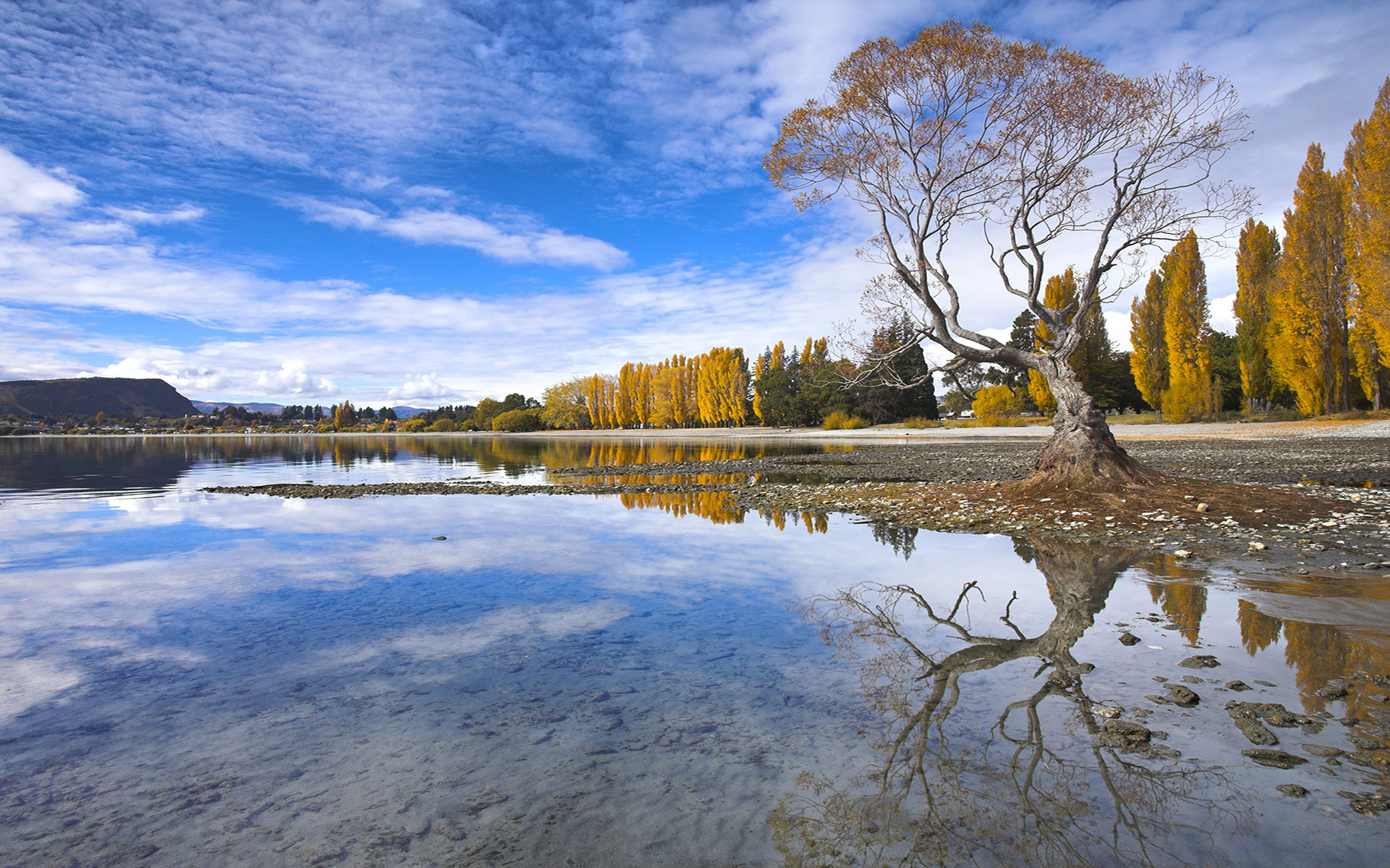 壁紙写真hd,自然の風景,反射,空,自然,水域