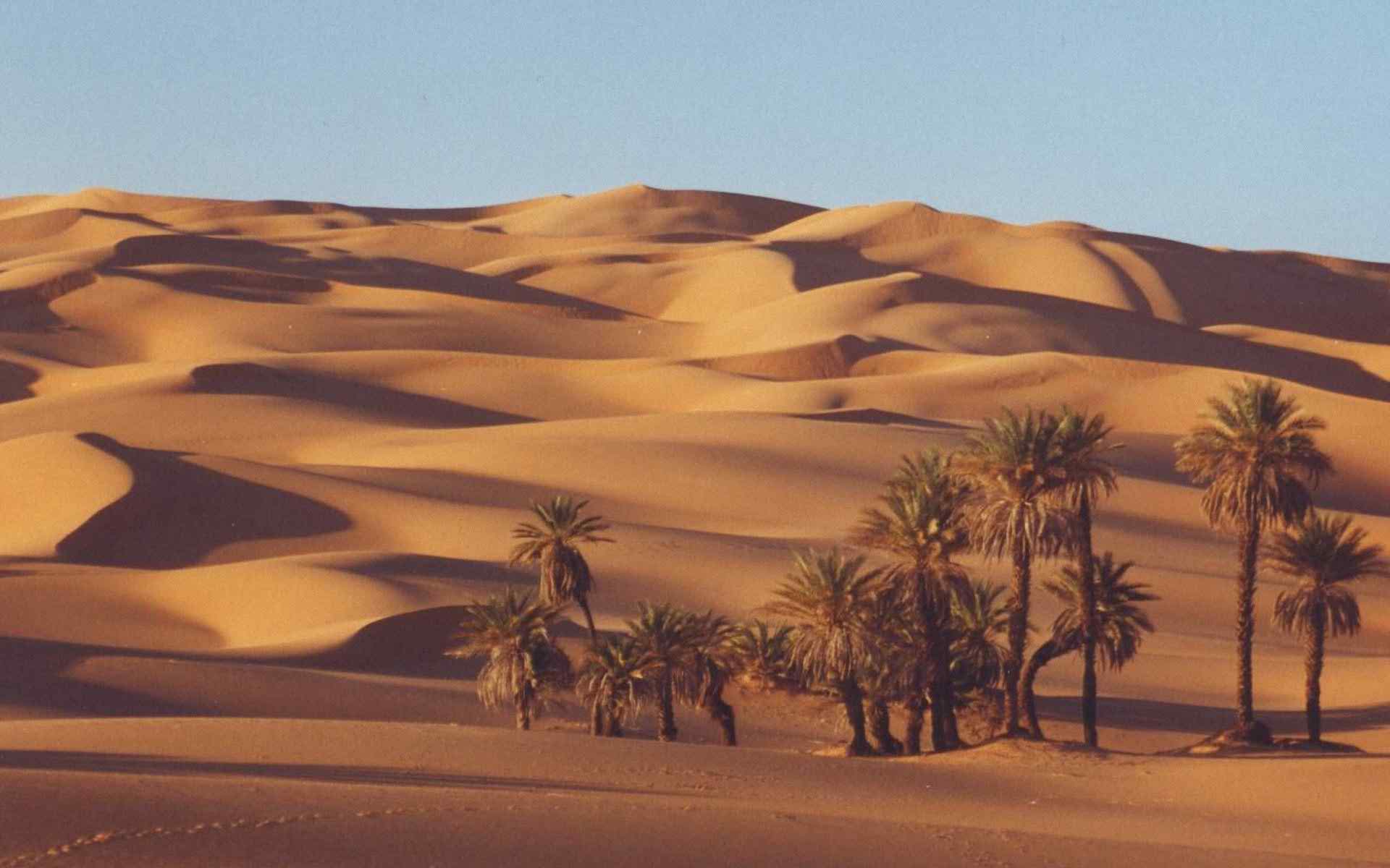 immagini da parati hd,deserto,erg,sahara,sabbia,duna