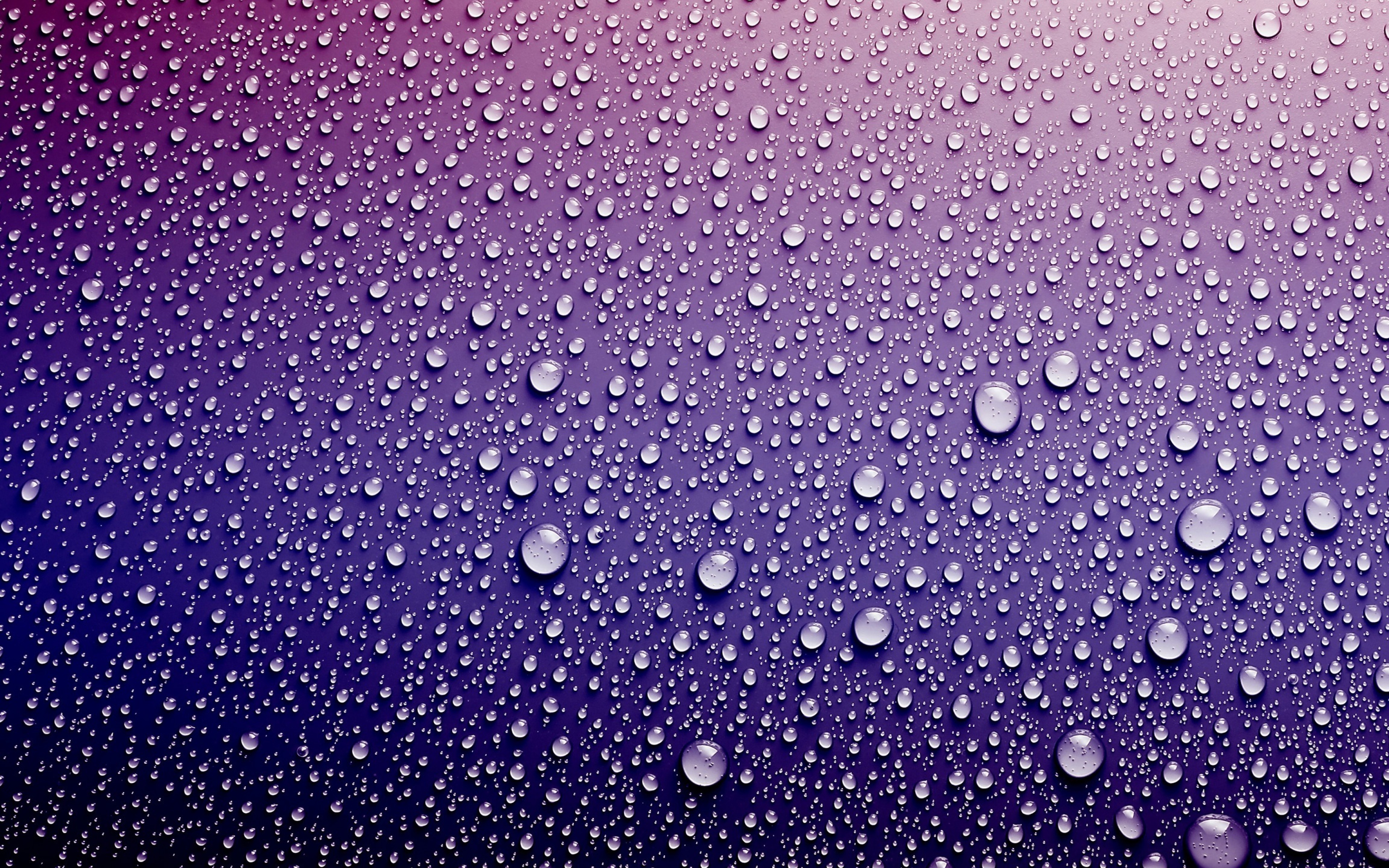 壁紙写真hd,水,紫の,落とす,バイオレット,水分