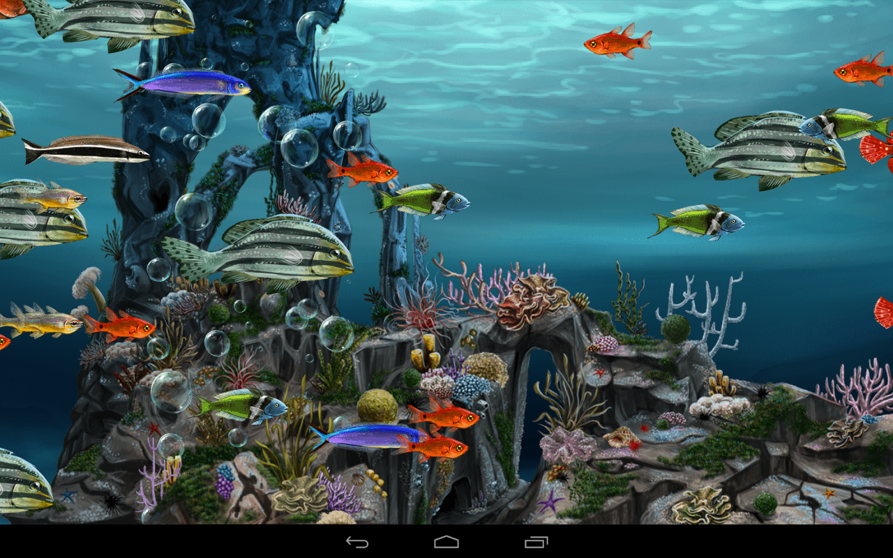 wallpaper ikan bergerak,marine biology,underwater,coral reef fish,coral reef,fish