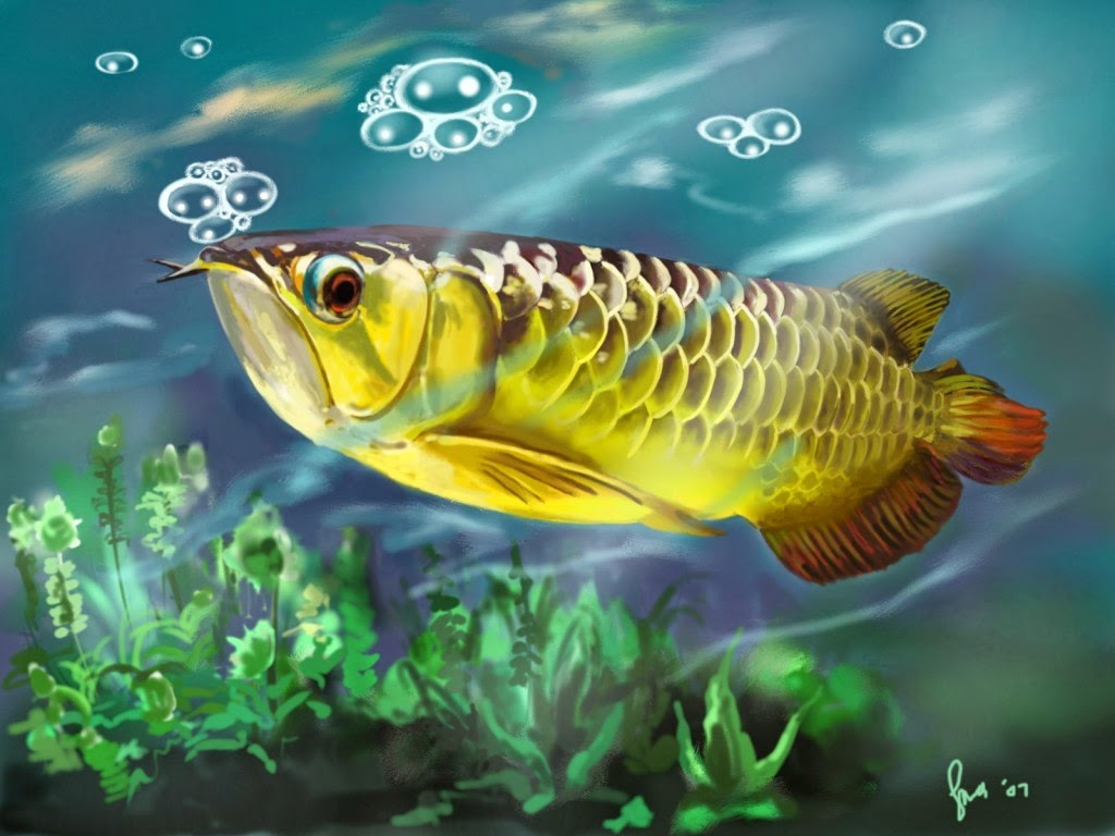 wallpaper ikan bergerak,fish,fish,marine biology,organism,underwater