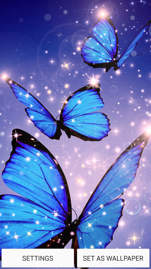 wallpaper ikan bergerak,butterfly,insect,blue,moths and butterflies,invertebrate