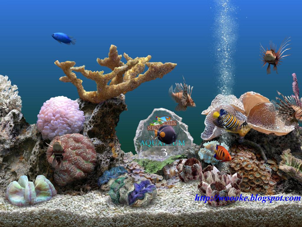 Download Wallpaper Aquarium 3d Bergerak Images Hewan Serenescreen
