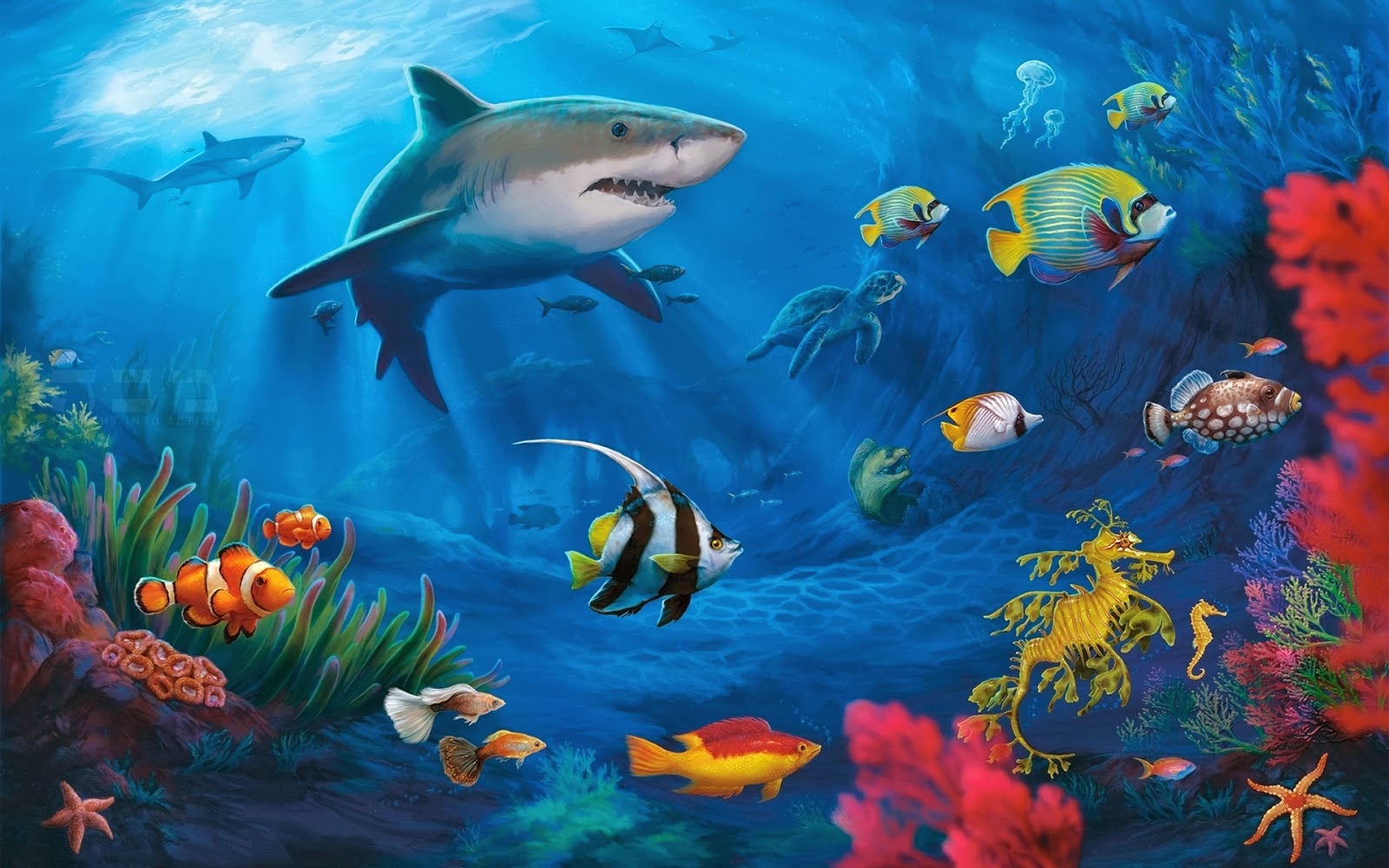papier peint ikan bergerak,poisson,biologie marine,sous marin,requin,grand requin blanc
