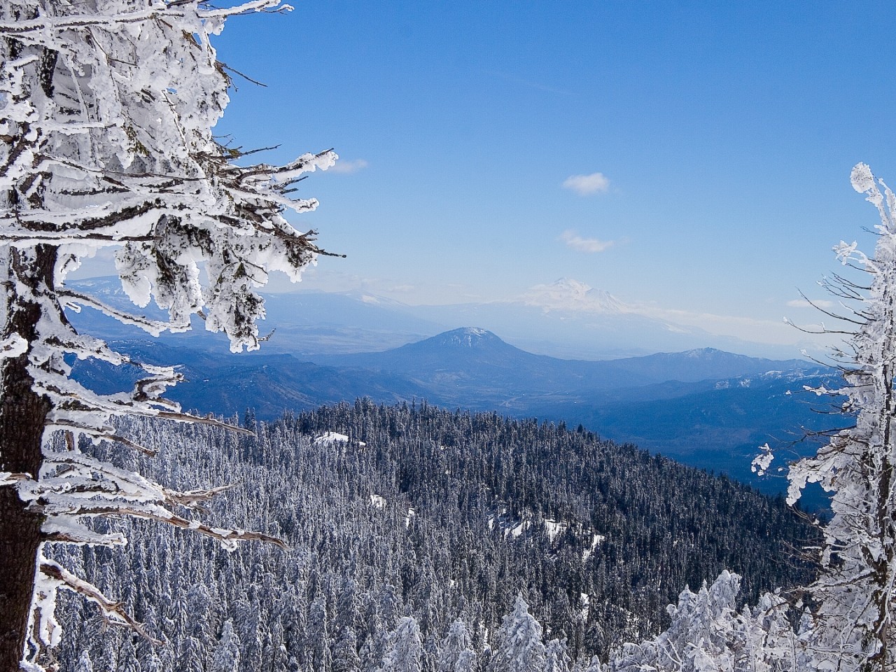高hdの壁紙,山,冬,木,雪,自然の風景