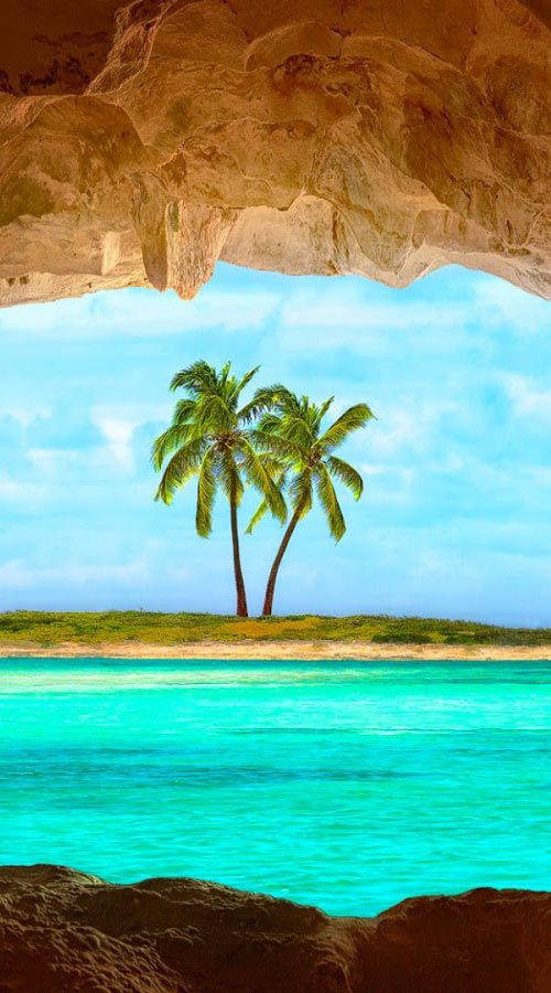 high hd wallpaper,nature,sky,tree,tropics,turquoise