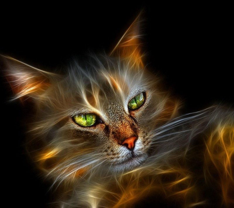 wallpaper keren 3d,cat,whiskers,felidae,small to medium sized cats,nature