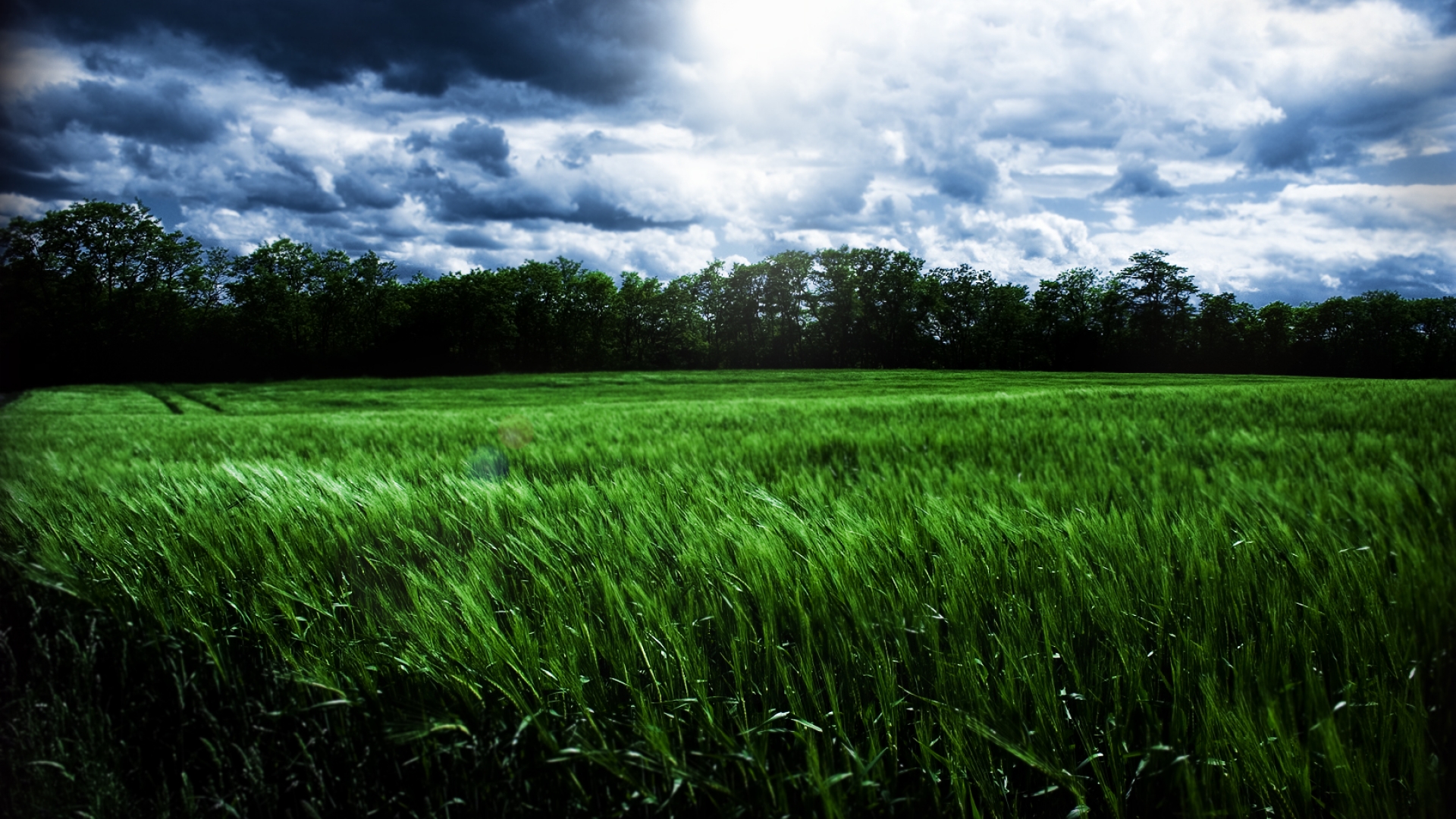 high hd wallpaper,natural landscape,field,nature,grassland,green