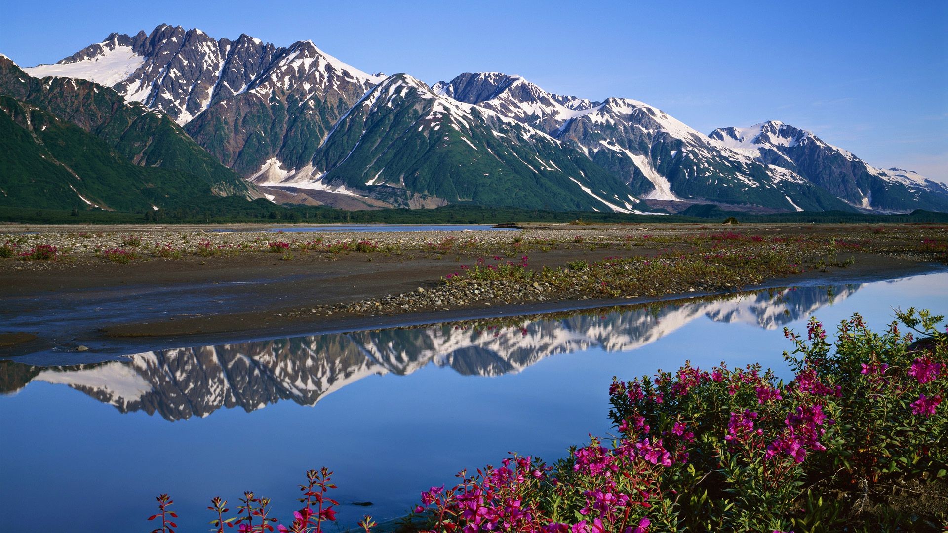 carta da parati dell'alaska,montagna,paesaggio naturale,natura,catena montuosa,riflessione