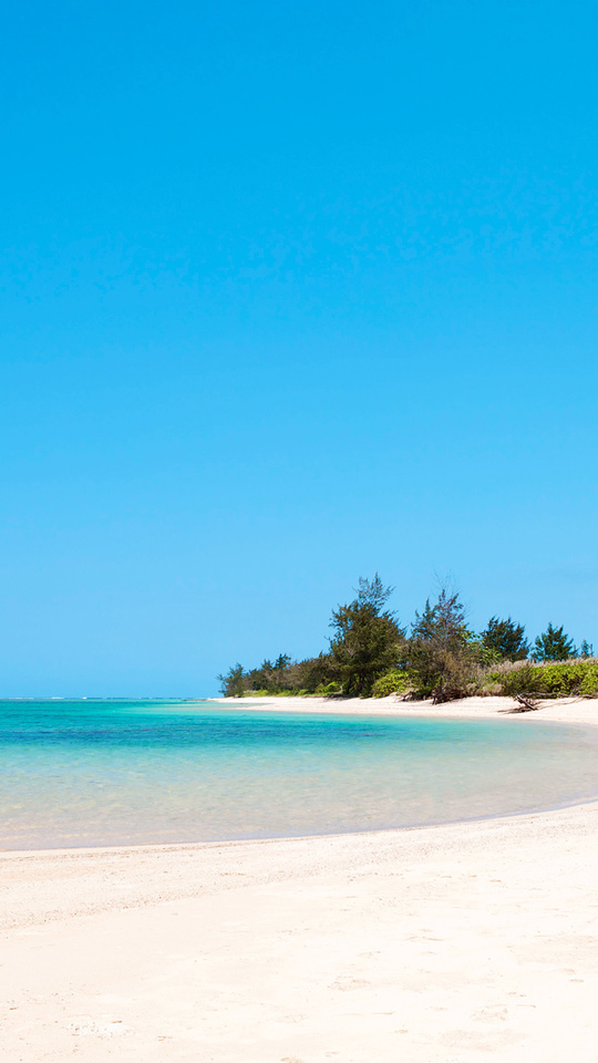 playa imágenes fondos de pantalla,cuerpo de agua,agua,mar,playa,apuntalar