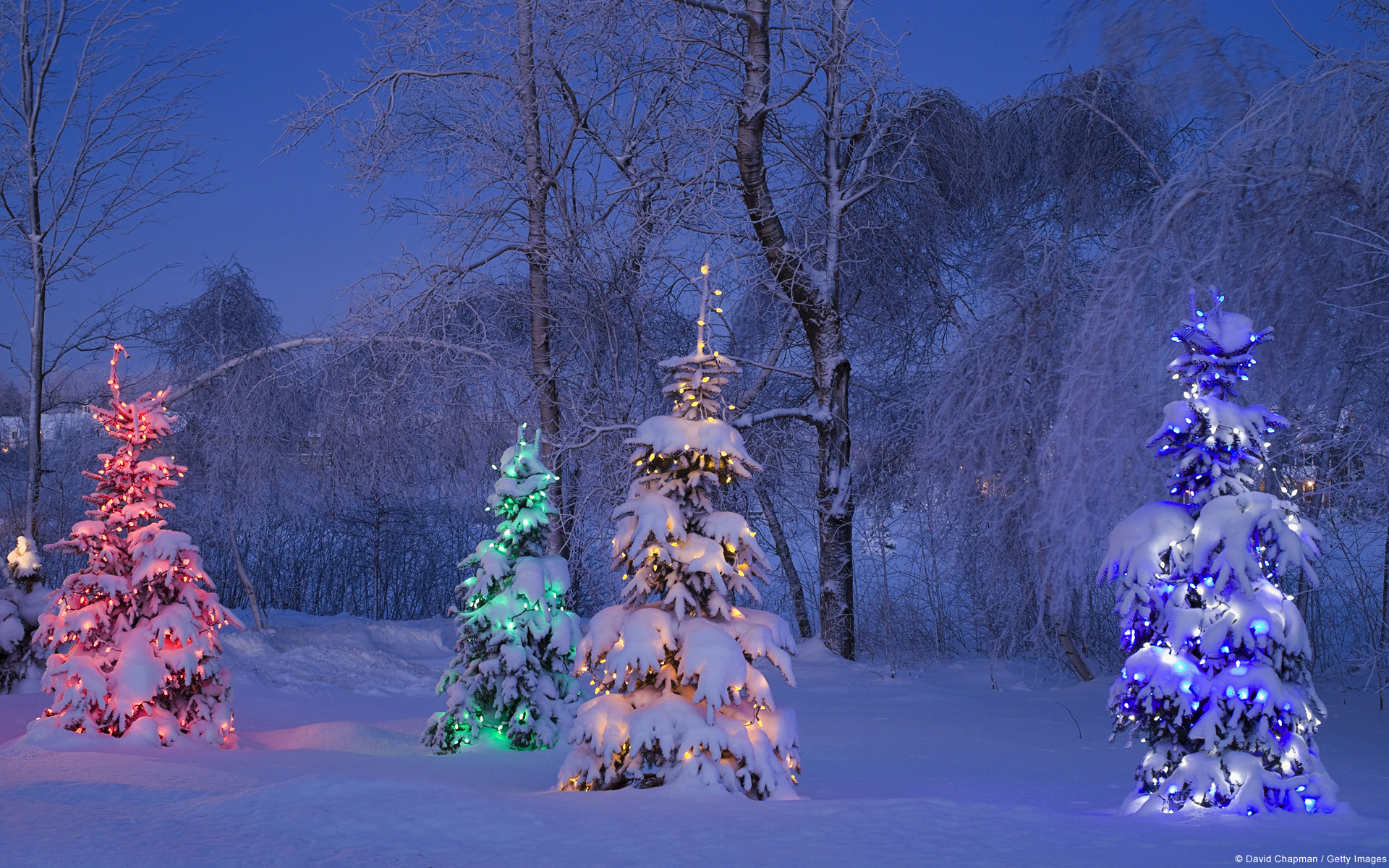 fond d'écran de noël gratuit,bleu,la nature,hiver,arbre,neige