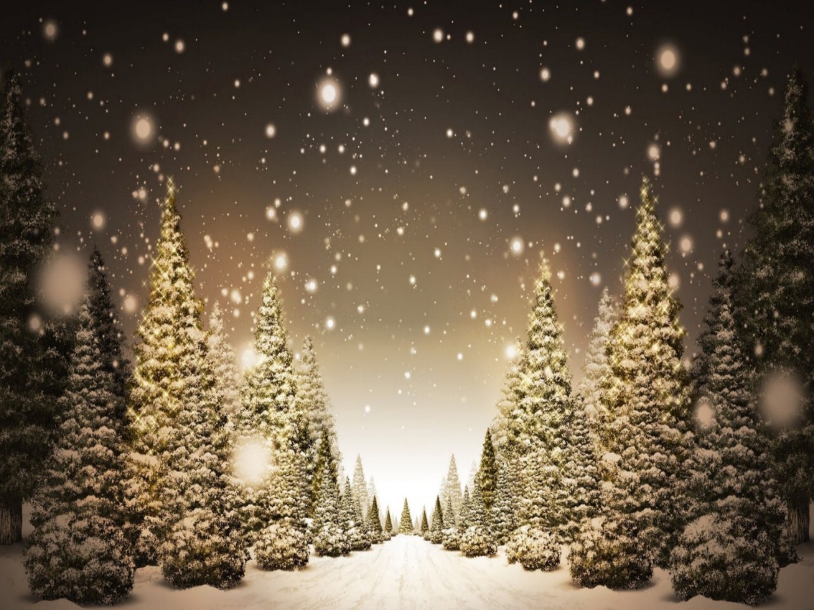 free christmas wallpaper,christmas tree,tree,christmas decoration,christmas lights,christmas eve