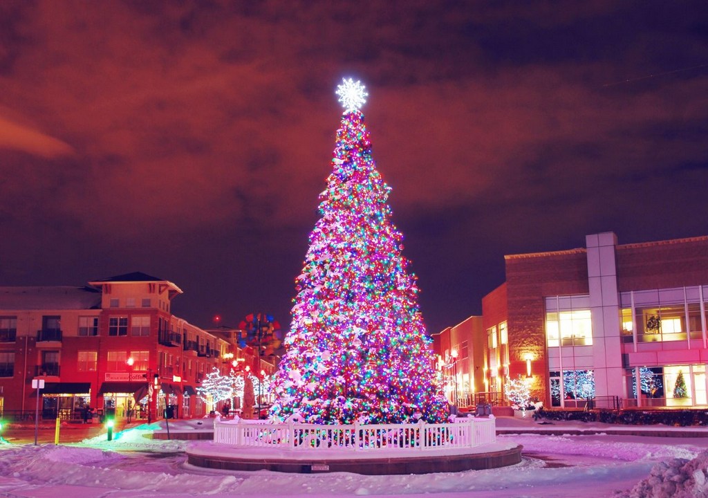 fondo de pantalla de navidad gratis,árbol de navidad,decoración navideña,árbol,navidad,luces de navidad