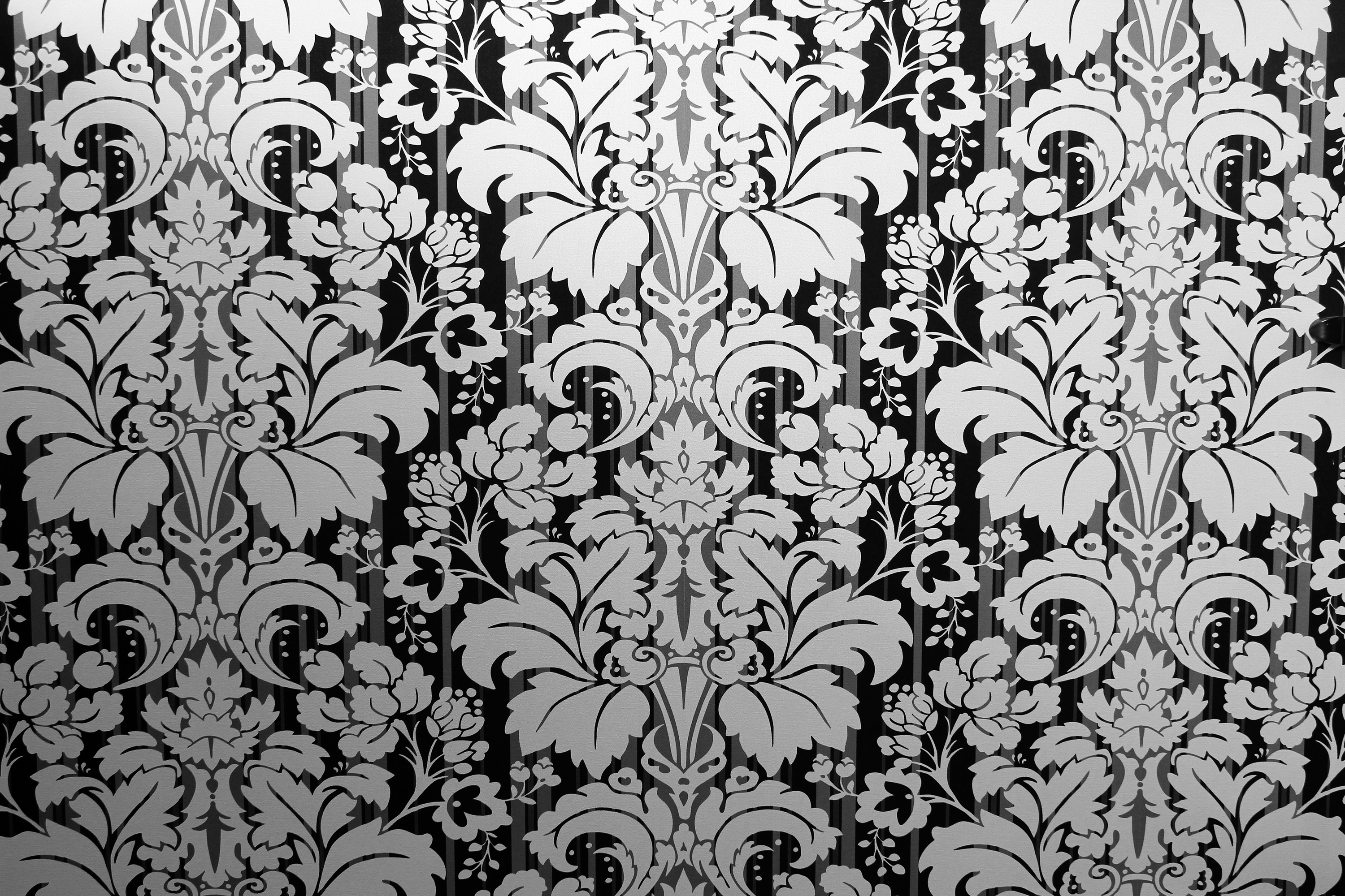 wallpaper design for wall,pattern,wallpaper,floral design,design,visual arts