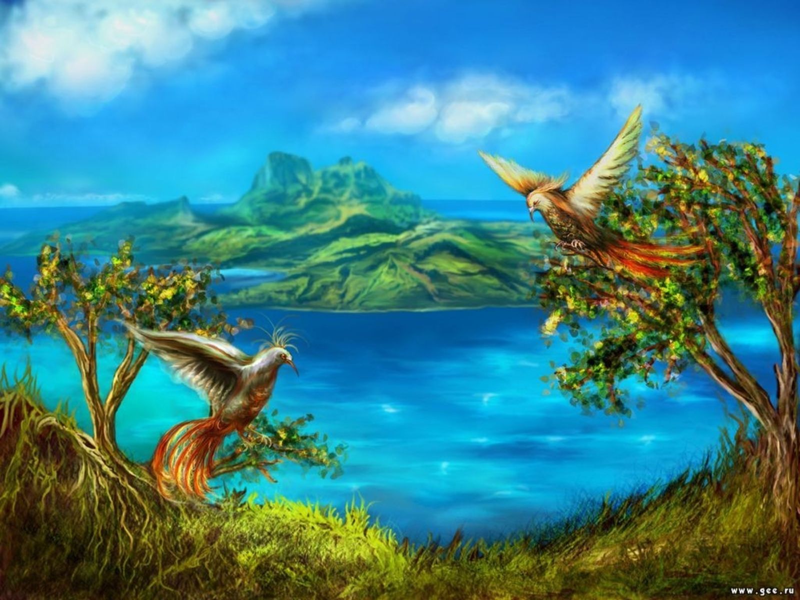 아름다운 라이브 배경 화면 hd,자연 경관,자연,하늘,경치,나무