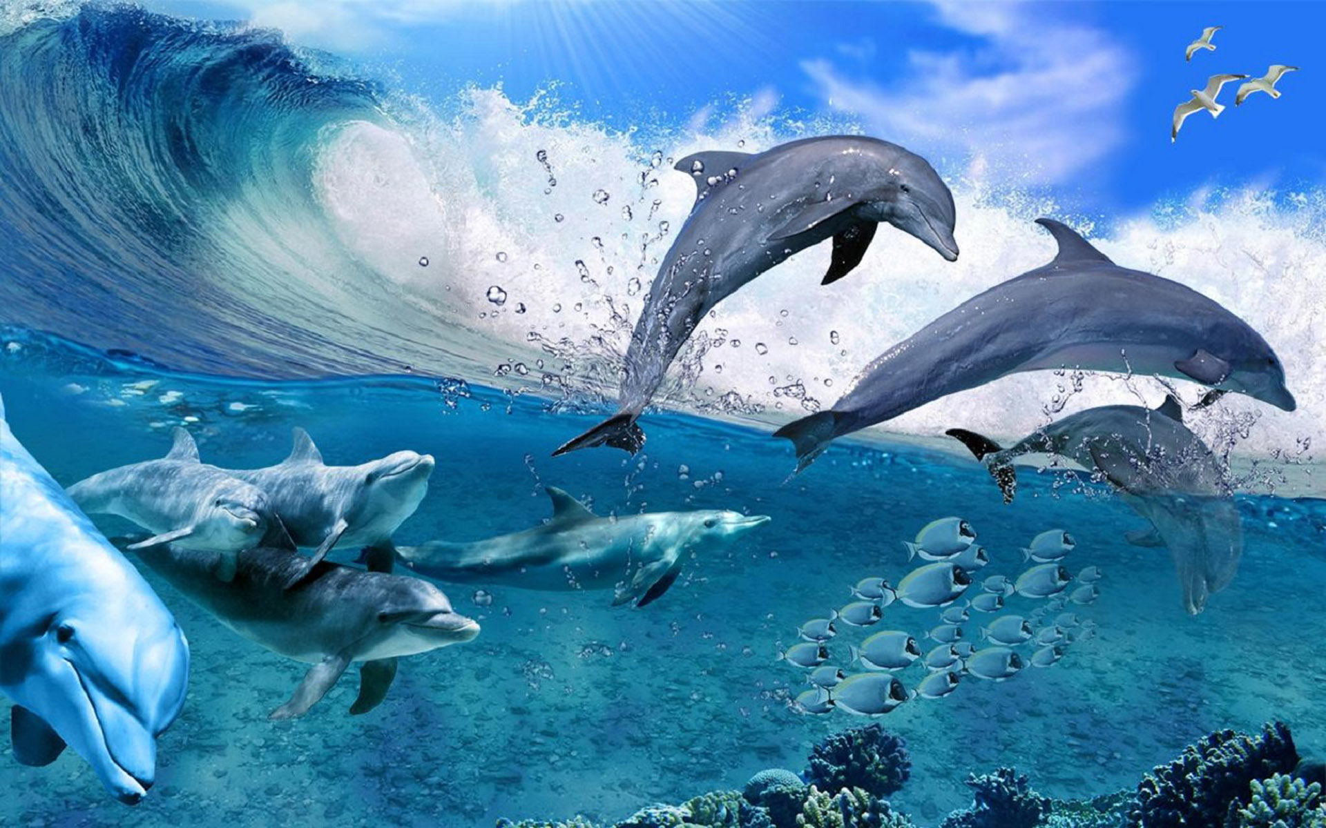 bellissimi sfondi live hd,delfino,delfino di tursiope comune,delfino tursiope,delfino comune dal becco corto,mammifero marino