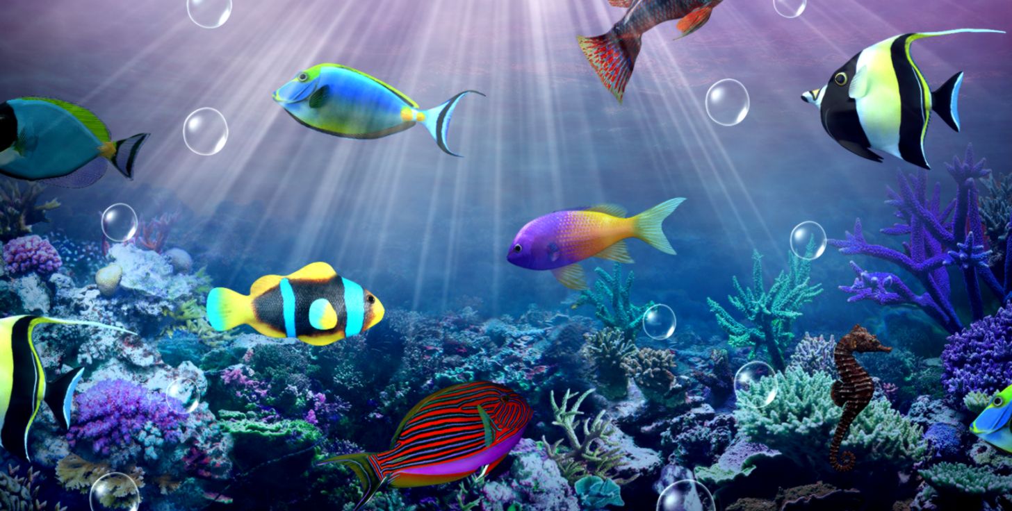 beau fond d'écran animé hd,sous marin,biologie marine,poisson,poissons de récifs coralliens,récif de corail