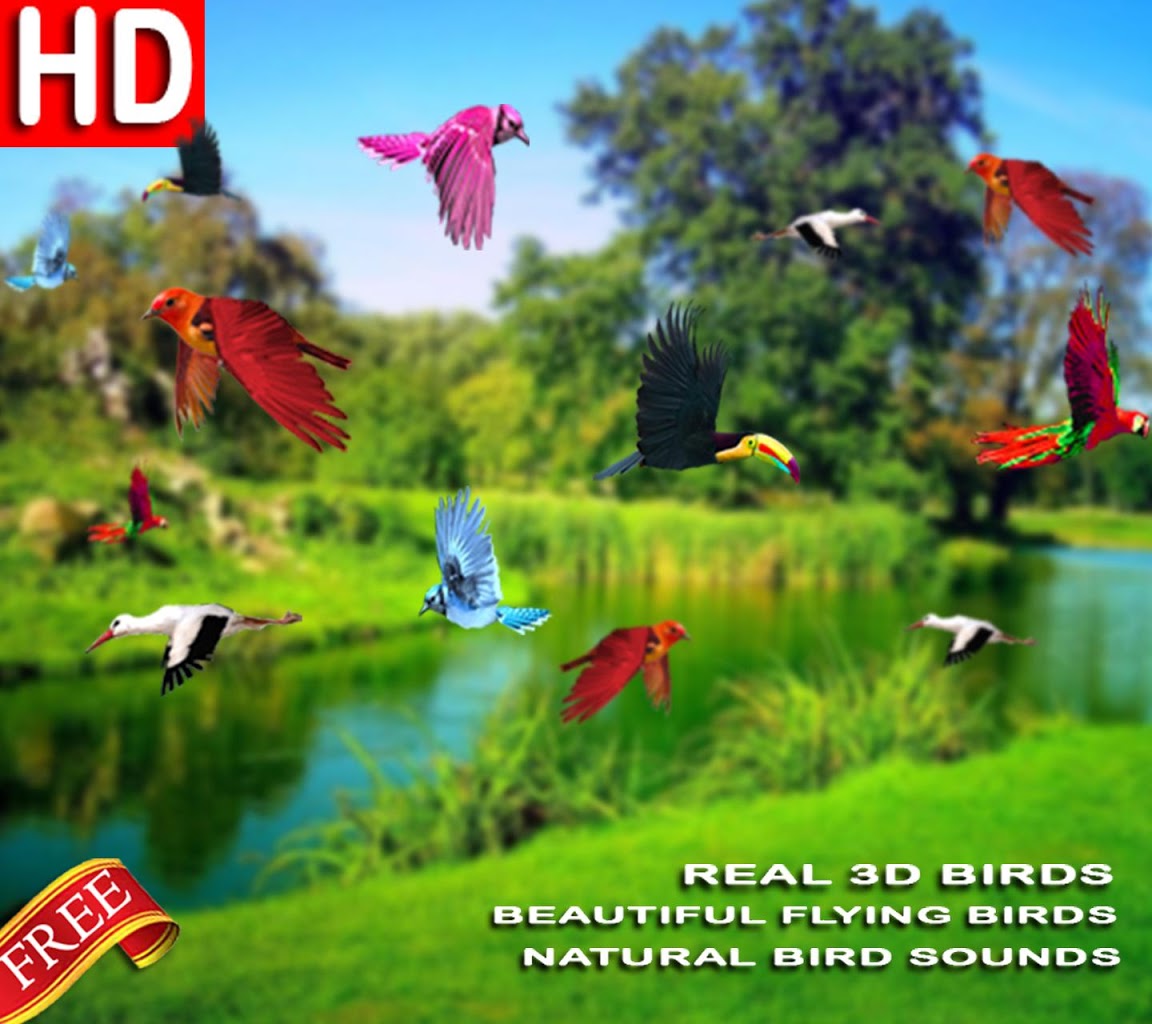 아름다운 라이브 배경 화면 hd,자연 경관,자연,목초지,경치,식물