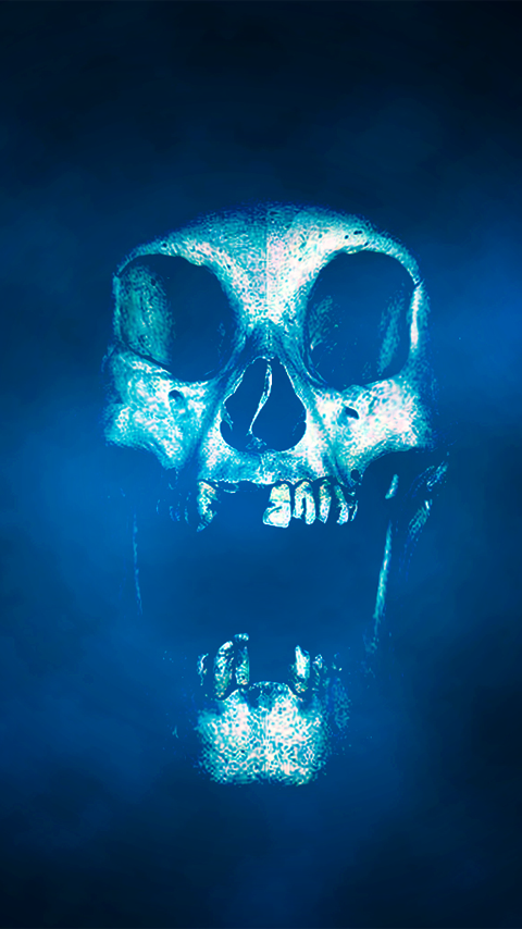 interactive live wallpaper,skull,bone,jaw,illustration,electric blue