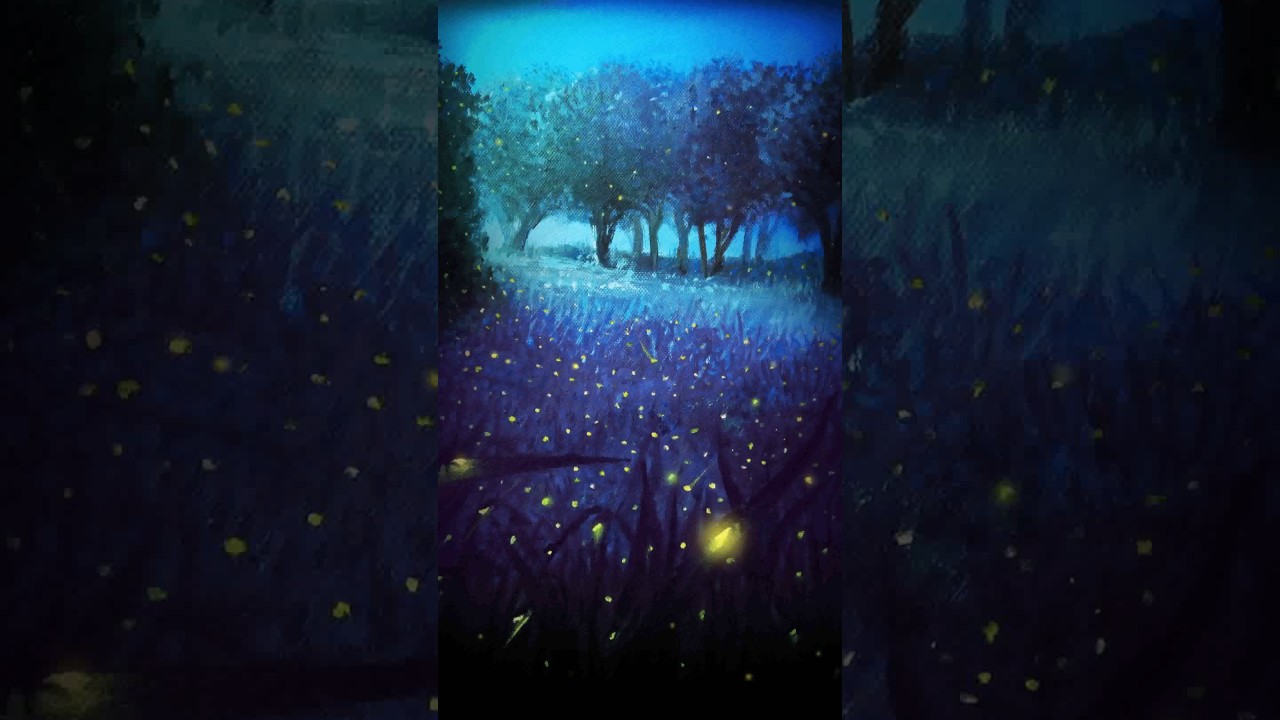 thema live wallpaper,blau,licht,dunkelheit,himmel,nacht