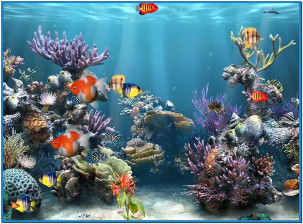 theme live wallpaper,coral reef,reef,marine biology,natural environment,coral reef fish