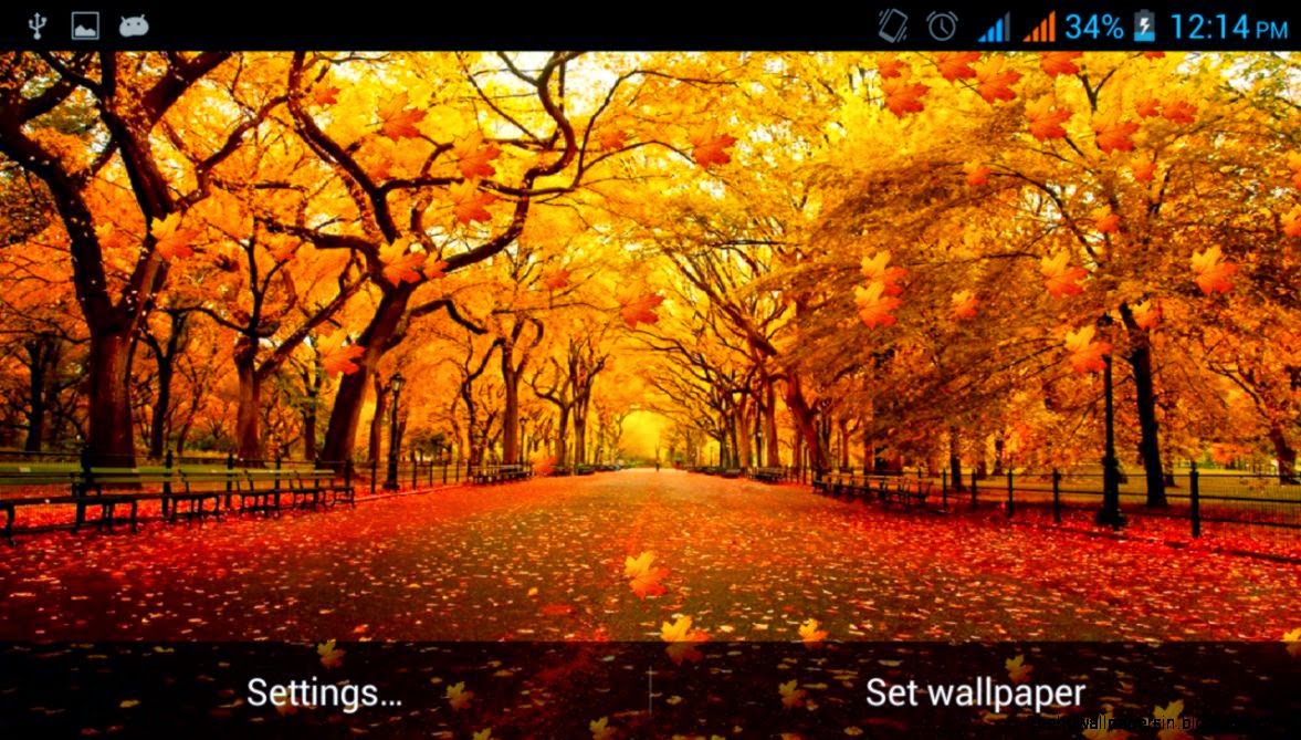 thème live wallpaper,la nature,arbre,paysage naturel,l'automne,feuille