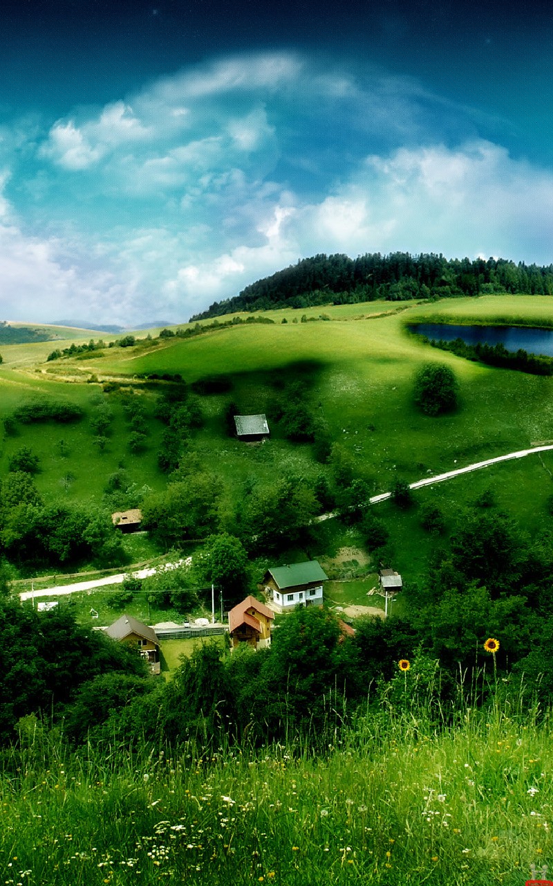 bonitos fondos de pantalla para móviles,pradera,paisaje natural,naturaleza,verde,césped