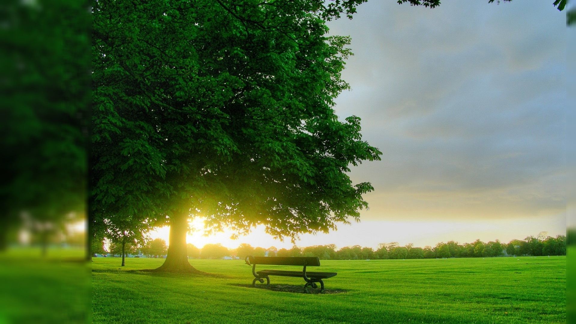 simpatici sfondi per cellulari,verde,paesaggio naturale,natura,cielo,panchina