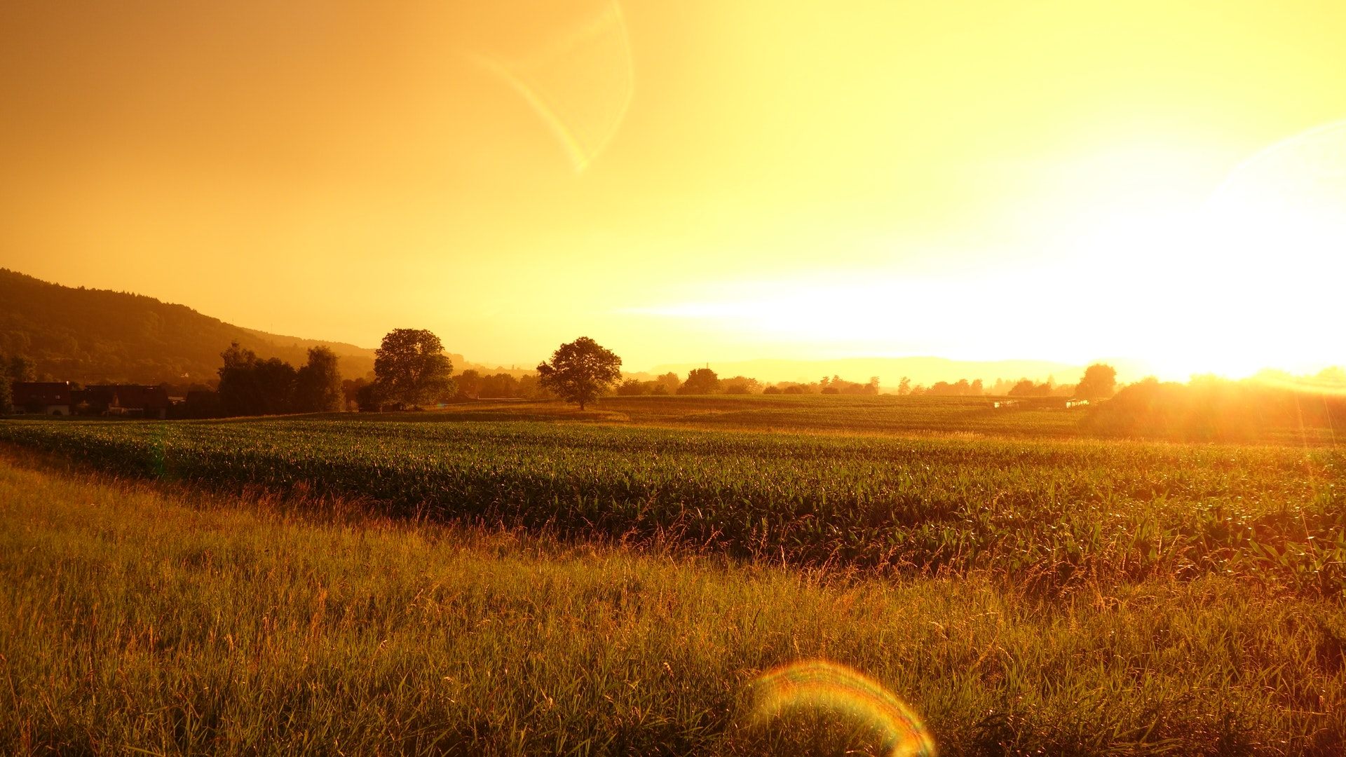 fond d'écran de ferme,la nature,ciel,champ,paysage naturel,lever du soleil