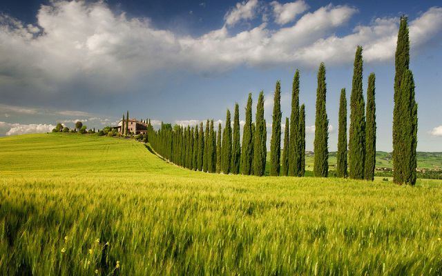 farm wallpaper,natural landscape,nature,field,sky,natural environment