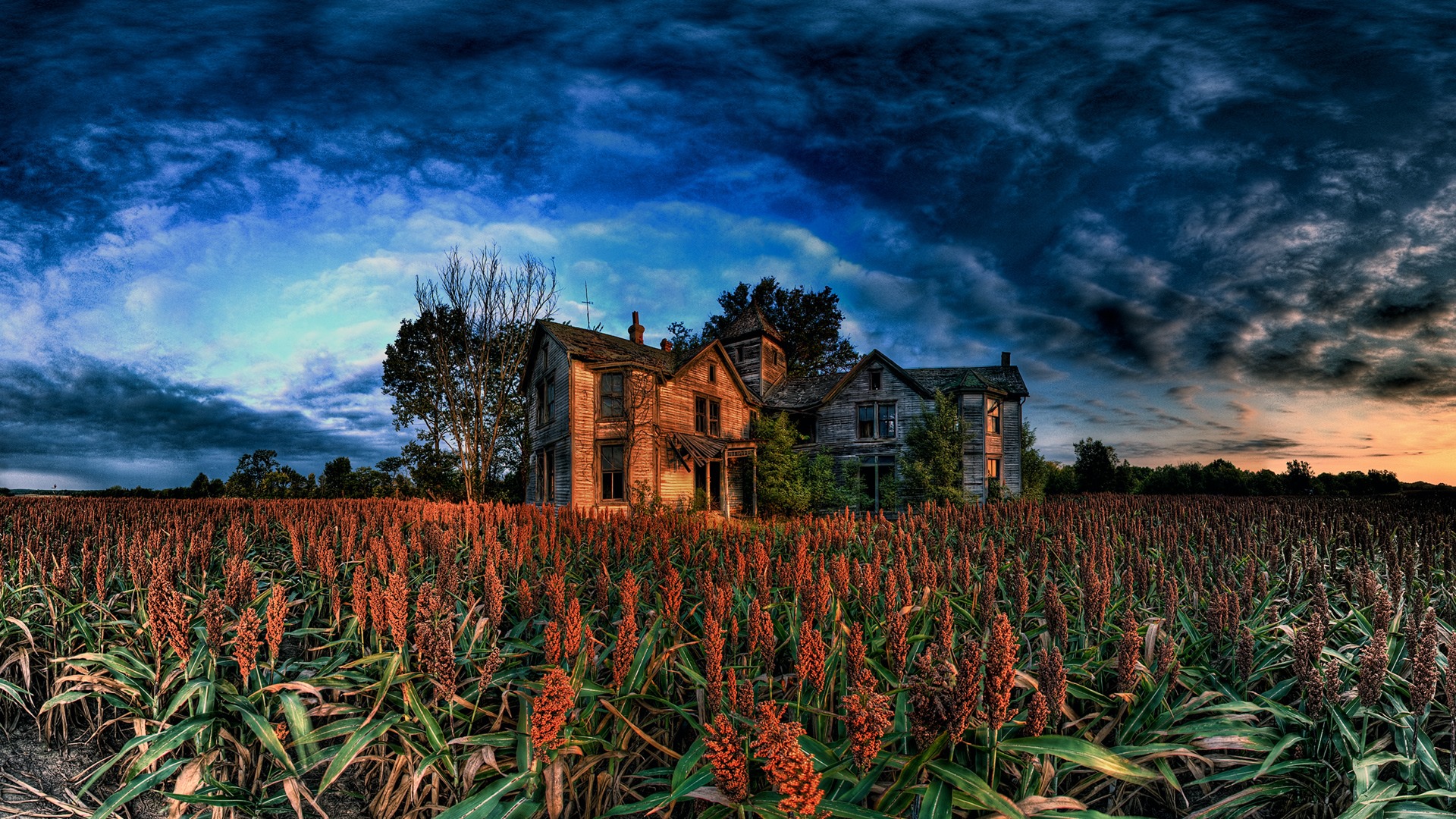 fondo de pantalla de la granja,cielo,naturaleza,campo,paisaje natural,granja