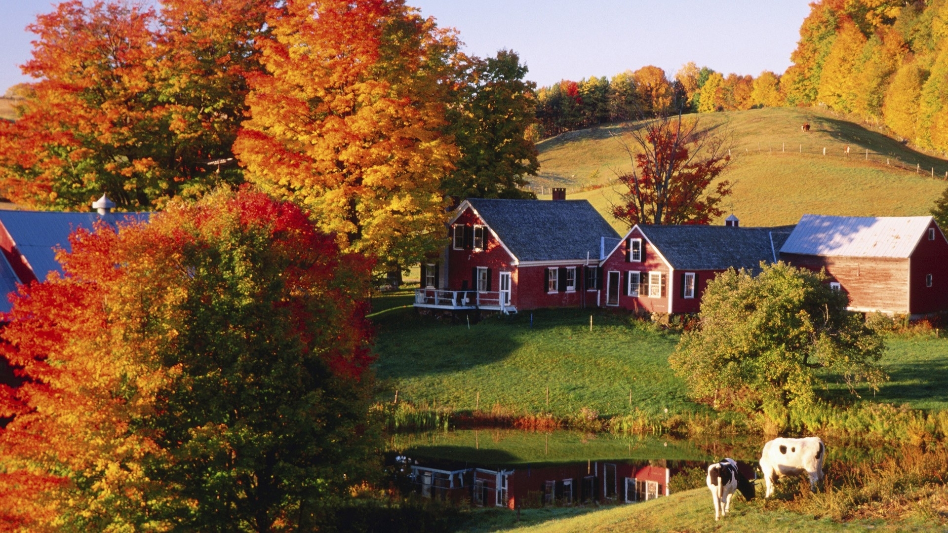 fondo de pantalla de la granja,naturaleza,paisaje natural,árbol,hoja,otoño