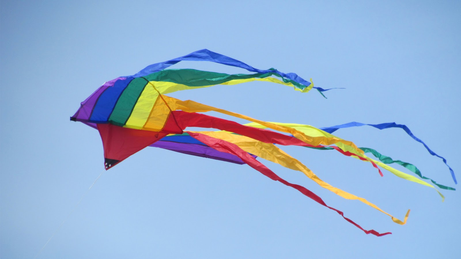 kite wallpaper,kite,sport kite,kite sports,sky