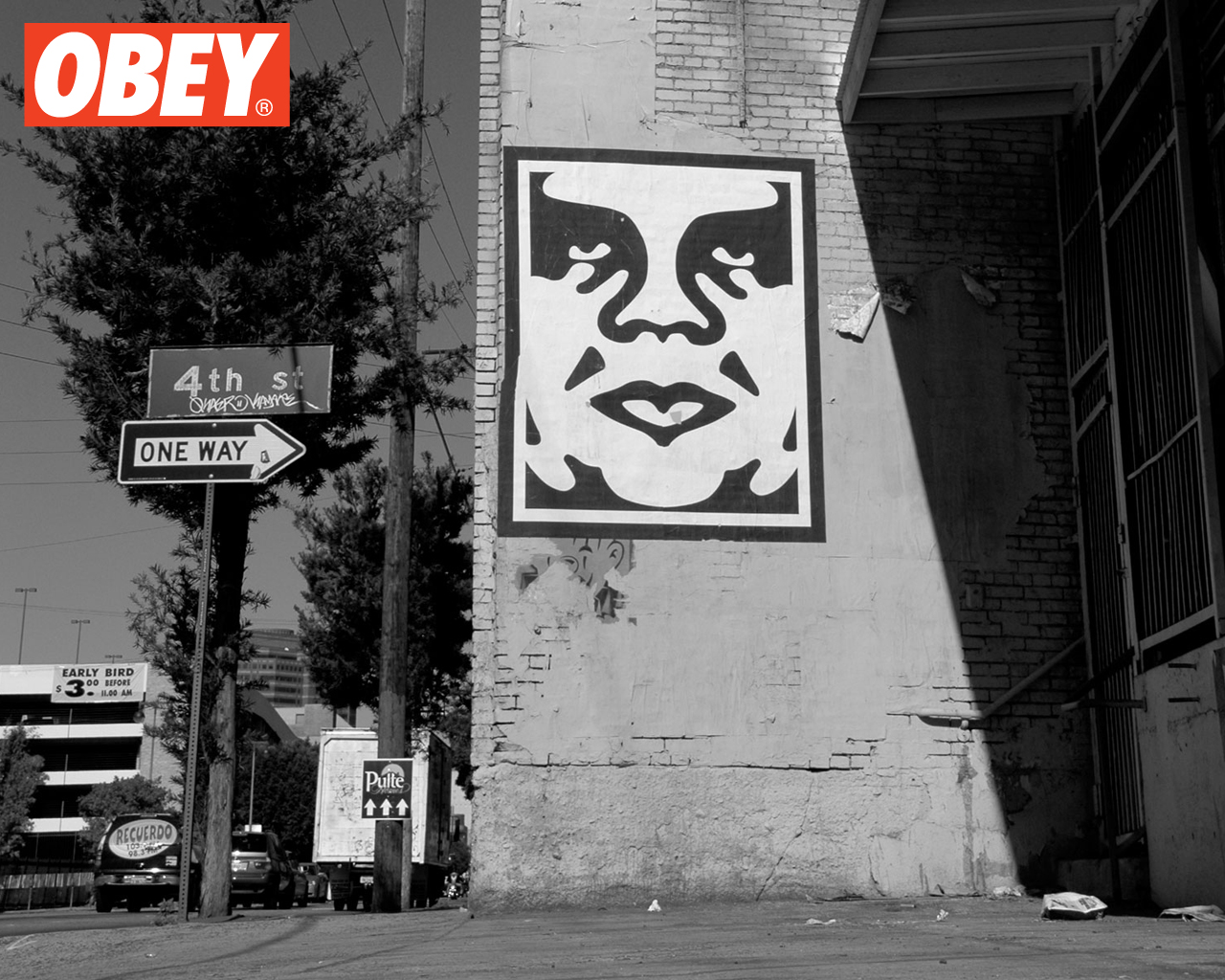 obey wallpaper,street art,art,black and white,graffiti,monochrome