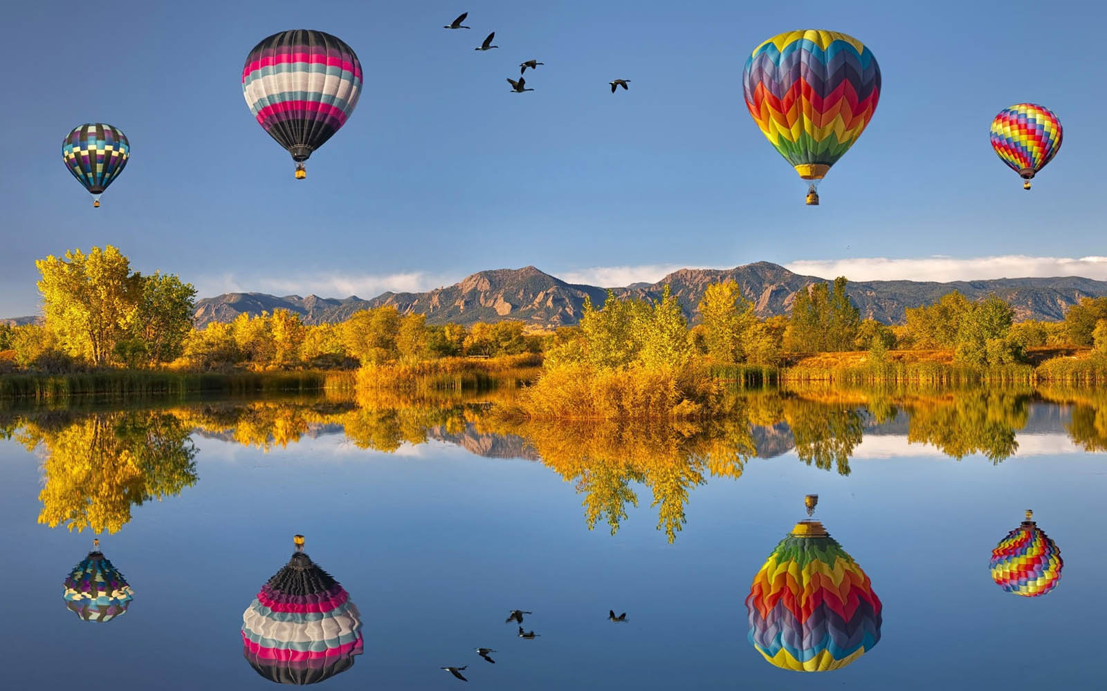 heißluftballon tapete,heißluftballon fahren,heißluftballon,natur,himmel,fahrzeug