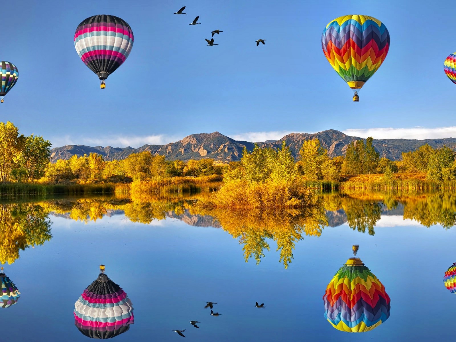 fondo de pantalla de globo de aire caliente,paseos en globo,globo aerostático,naturaleza,cielo,vehículo