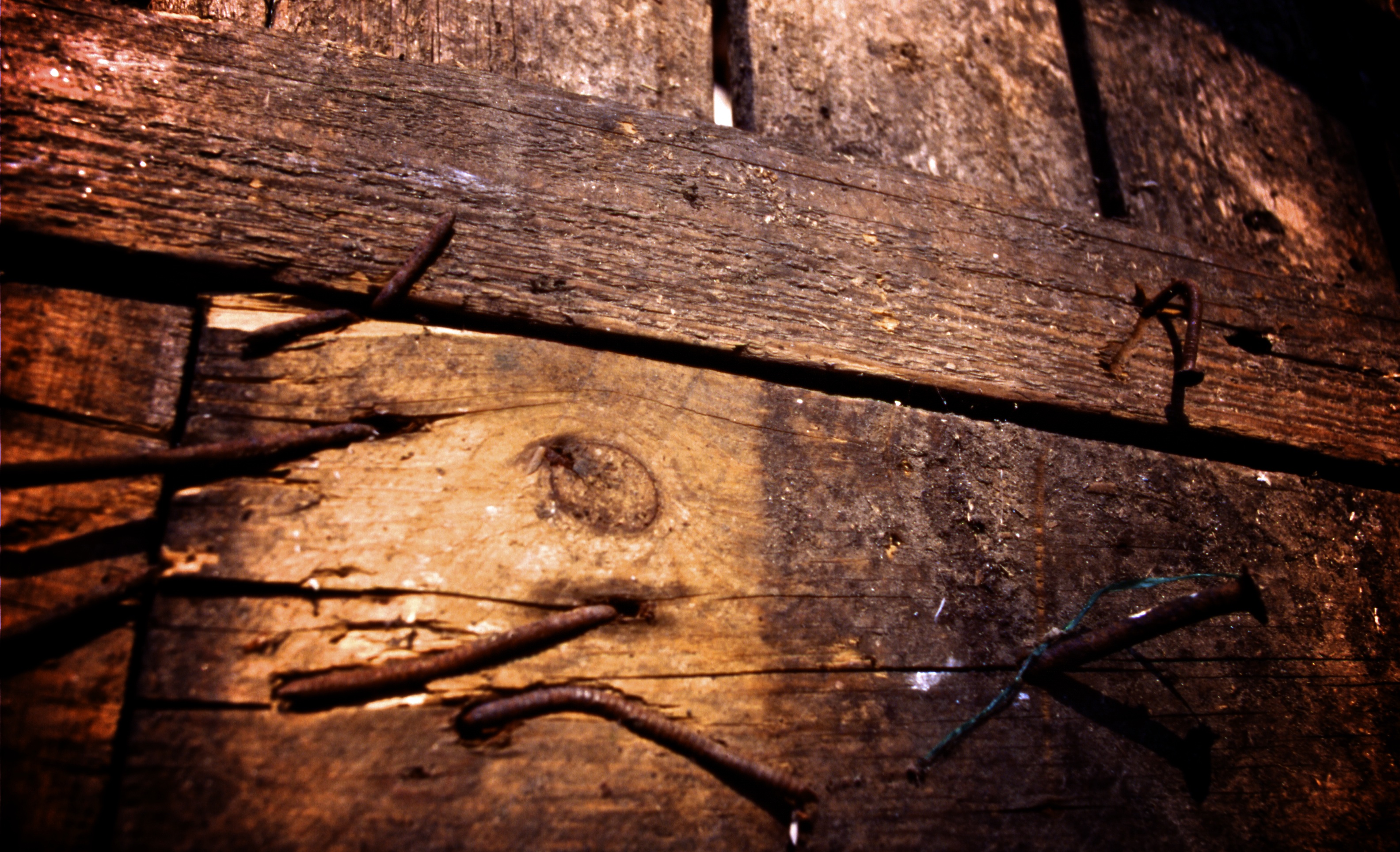carta da parati rustica,legna,albero,pianta,roccia