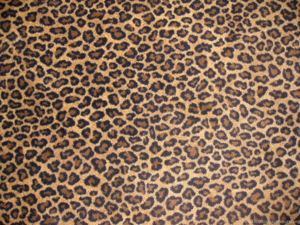 animal print wallpaper,fur,pattern,brown,wildlife,close up