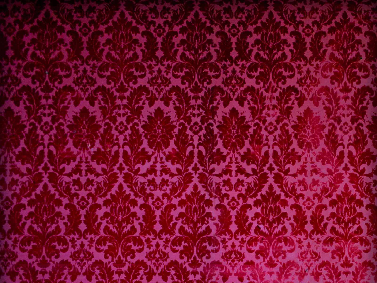 samttapete,rosa,rot,muster,textil ,design